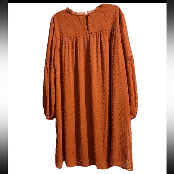 Linda Anderson Rust Orange Swiss Dot Lace Yoke Long Sleeve Bohemian Office Dress - Picture 2 of 9